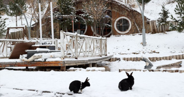 Sivas'ta Kar Altındaki Hobbit Evleri