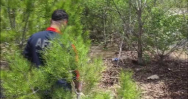 Sivas'ta Koyulhisar'da trafik kazası sonrası Kelkit Çayı'na atlayan genç kız için arama çalışmaları devam ediyor