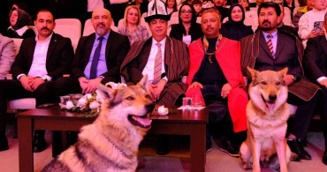 Sivas'ta Renkli Nevruz Kutlamaları