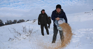 Sivas'ta Yaban Hayvanları İçin Yem Bırakıldı
