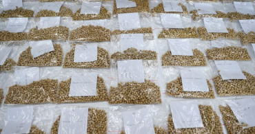 Sivas'ta Yerli Soya Tohumu Geliştirme Çalışmaları Tamamlandı