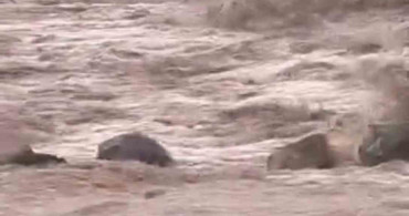 Siverek'te Sağanak Yağış Sele Neden Oldu