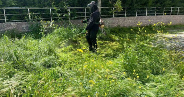 Söğüt’te Yeşil Alan Bakım Çalışmaları Devam Ediyor