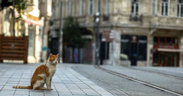 Sokağa Çıkma Yasağı Başladı