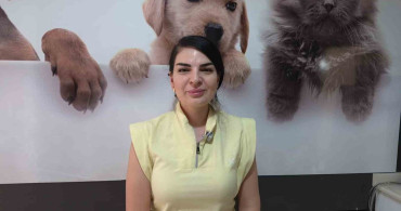 Sokak hayvanı sahiplenirken dikkat edilmesi gerekenler