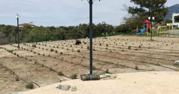Söke Belediyesi'nden Yeşil Alan Seferberliği