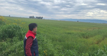 Söke'de Hububat Ekiminde Denetimler Yapıldı