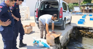 Söke’de kaçak su ürünleri nakline geçit verilmedi