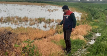 Söke'de Tarım Arazilerinde Sel Hasarı İncelemeleri Devam Ediyor