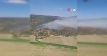 Söke'deki zirai alan yangını kontrol altına alındı