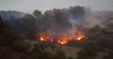 Soma'da Orman Yangını