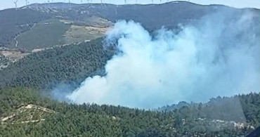 Soma'daki orman yangınına havadan ve karadan müdahale başladı