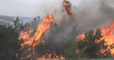 Son dakika: Muğla'da orman yangını!
