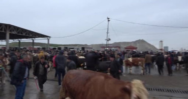 Sorgun Canlı Hayvan Pazarı: Yağışlı Havalara Rağmen Alıcı ve Satıcıları Buluşturuyor