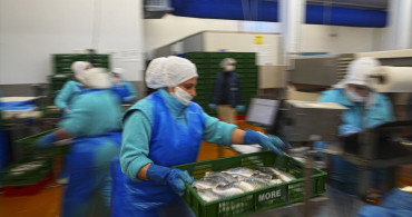 Su Ürünleri İhracatında Rekor Beklentisi