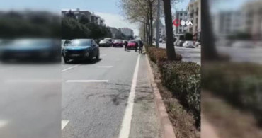 Süleymanpaşa'da Başıboş Atlar Trafiği Olumsuz Etkiledi
