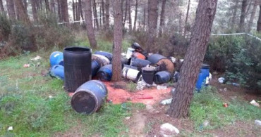 Sultangazi'de Ormanlık Bölgede Kimyasal Variller Bulundu!