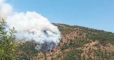 Sultanhisar'da makilik ve orman yangını