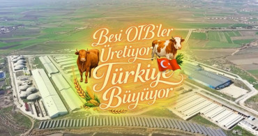 Suluova Besi OTB: Kırmızı Et Üretiminde Yeni Bir Dönem