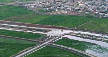 Suriye'nin Rakka Vilayetinde Aşırı Yağışlar Tarım Arazilerini Su Altında Bıraktı