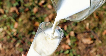Süt Sektöründe Çin'e İhracat Hareketliliği