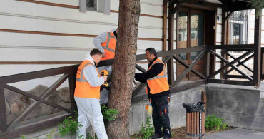 Talas Belediyesi'nden Çevre Dostu İlaçlama Uygulaması