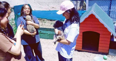 Talas Pati Evi’nde gençlerin hayvan sevgisi buluşması