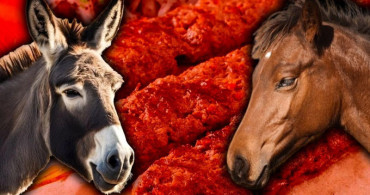 Tarım Bakanlığı Sahtecileri İfşa Etti: Vatandaşa At ve Eşek Eti Yediren Markalar Açıklandı