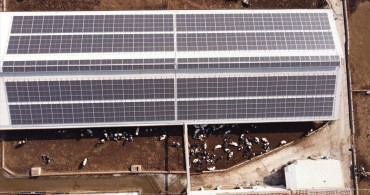 Tarım Orman Gençlik Konseyi: Geleceğin Tarımını Şekillendiren Gençler