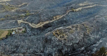 Tarım ve Orman Bakanı: Son 5 Günde 132 Yangından 125'ini Kontrol Altına Aldık