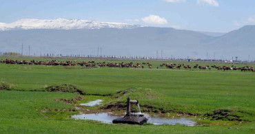 Tarımda İklim Değişikliği ve Önder Üretici Modeli