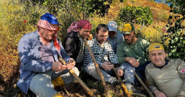 Tarlada milli maç heyecanı
