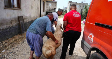 Tarsus Belediyesi'nden Şehit Ailelerine Kurban Desteği