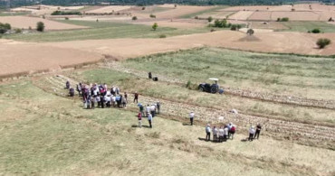 Taşköprü sarımsağının hasadı başladı