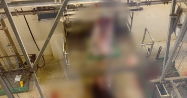 Tavşanlı'da Kurban Kesim Elemanı Kursu Düzenlendi