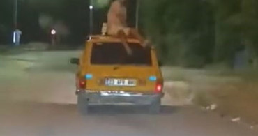 Tehlikeli Yolculuk: Otomobilin Tavanında Seyahat