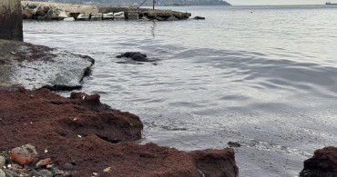 Tekirdağ Sahilinde Kırmızı Yosun Biriktirdi