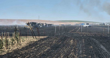 Tekirdağ’da 2 farklı noktada çıkan yangın söndürüldü: 700 dönümlük alan ve 20 konteyner kül oldu