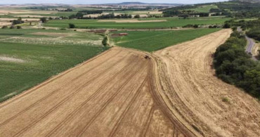 Tekirdağ'da arpa hasadı başladı