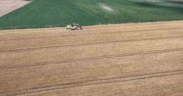 Tekirdağ'da arpa hasadı başladı, çiftçiler yüksek verim bekliyor