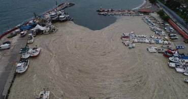 Tekirdağ’da Balıkçı Barınağını Deniz Salyası Kapladı
