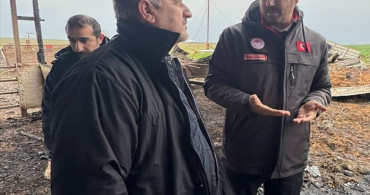 Tekirdağ'da Çiftlik Yangını: 100 Koyun Telef Oldu