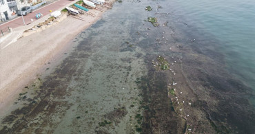 Tekirdağ'da Deniz Suyunda Çekilme Olayı