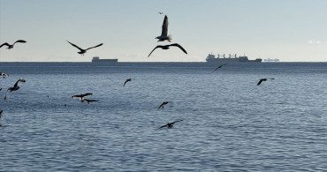 Tekirdağ'da Deniz Ulaşımı Yeniden Başladı