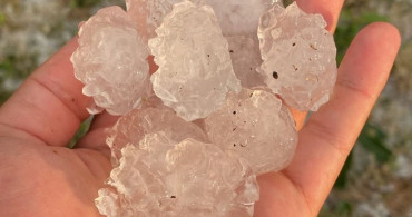 Tekirdağ’da dolu yağışı ayçiçeği ve karpuz tarlalarına zarar verdi