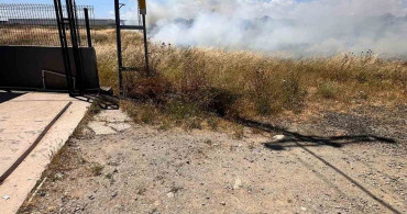 Tekirdağ'da elektrik tellerine çarpan kuş yangın çıkardı