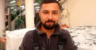 Tekirdağ'da Hamsi ve Sardalya Bolluğu Balıkçıları Sevindiriyor