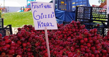 Tekirdağ'da Kiraz Fiyatları Düşüşte