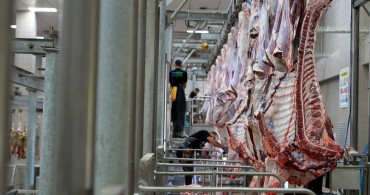 Tekirdağ'da Kurban Bayramı'nda 977 Hayvan Kesildi