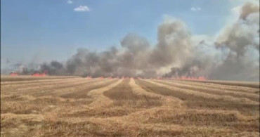 Tekirdağ'da tarım arazisinde iki noktada yangın
